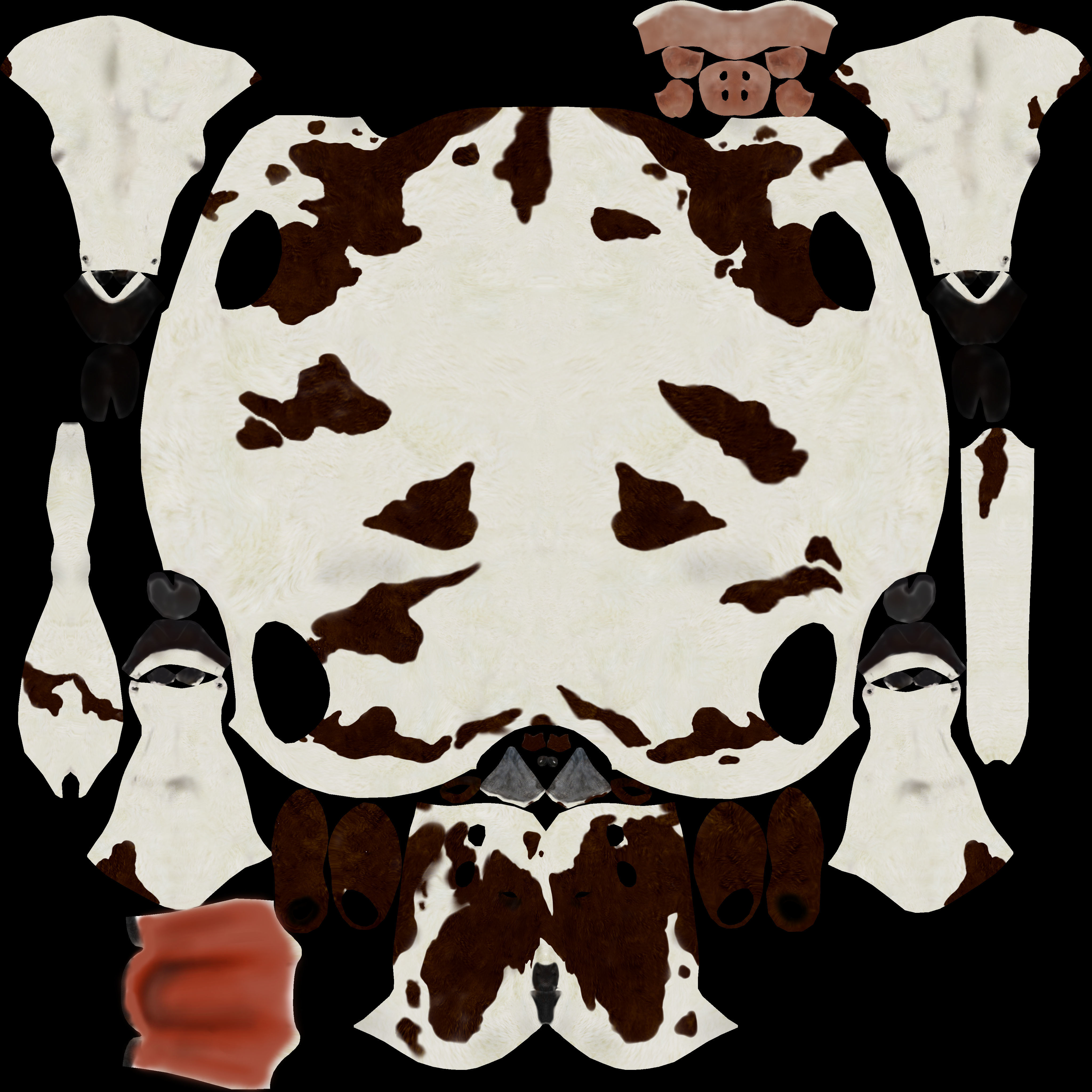 Cow Modal Low-poly 3D model_5