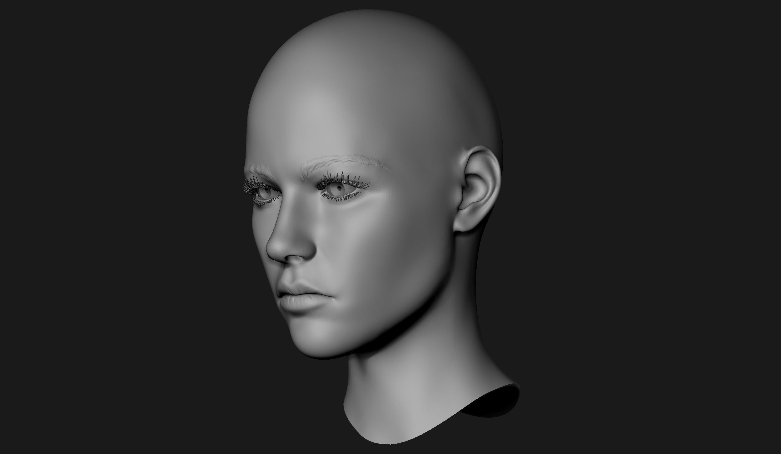 Female Head Sculpt 11 3D model_11