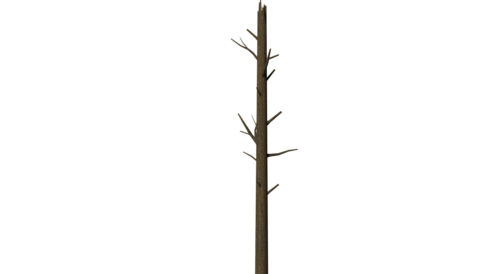 Dead Tree Low-poly 3D model_2