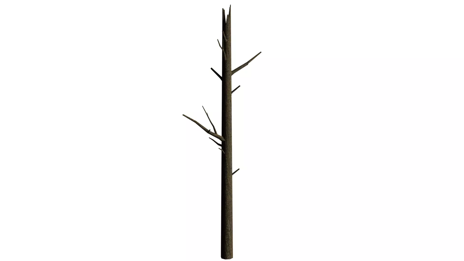 Dead Tree Low-poly 3D model_0