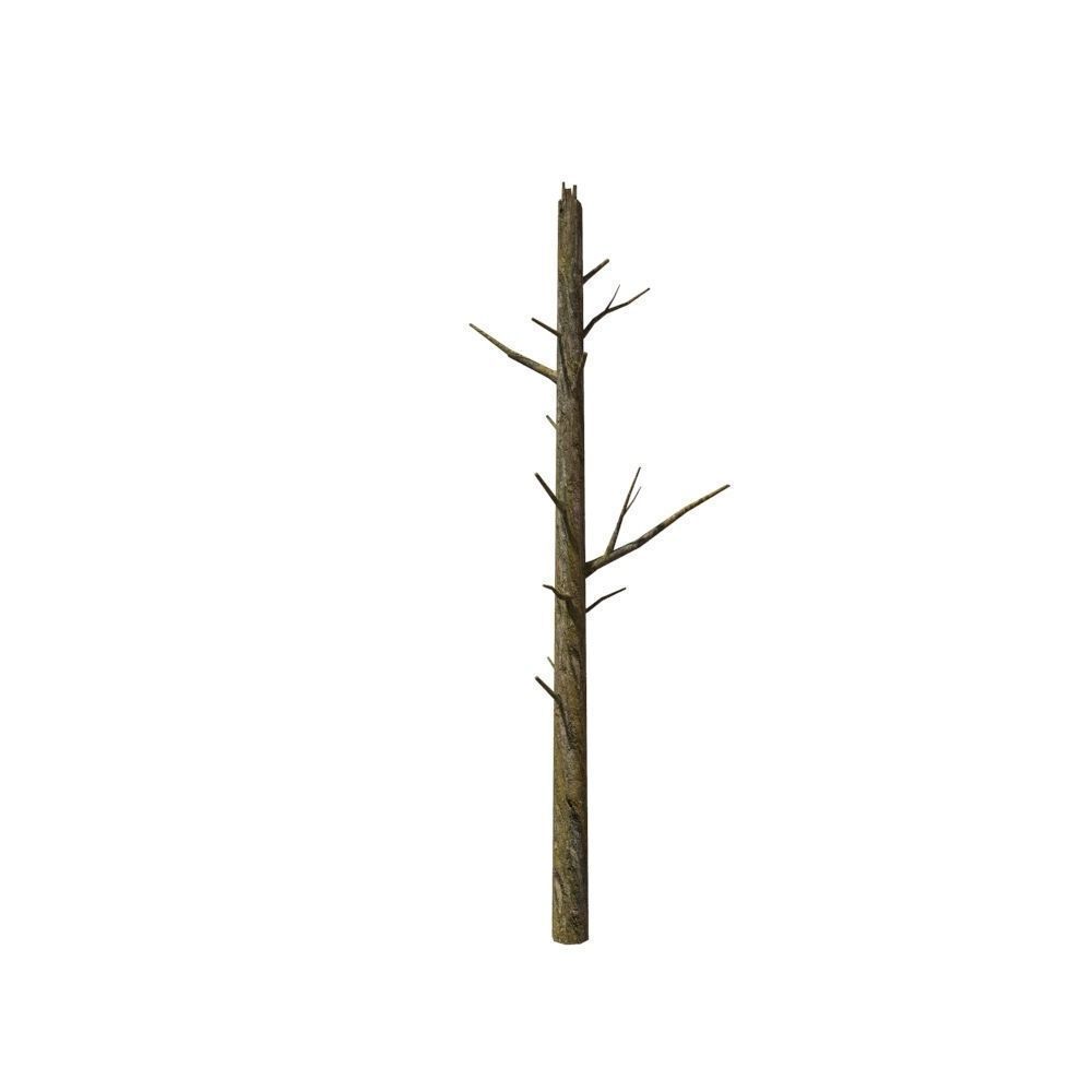 Dead Tree Low-poly 3D model_13