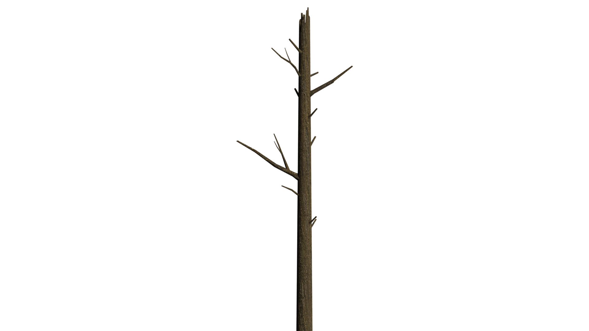 Dead Tree Low-poly 3D model_1