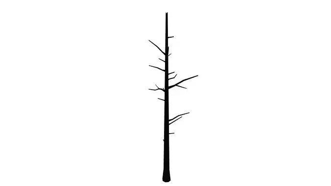 Dead Tree Low-poly 3D model