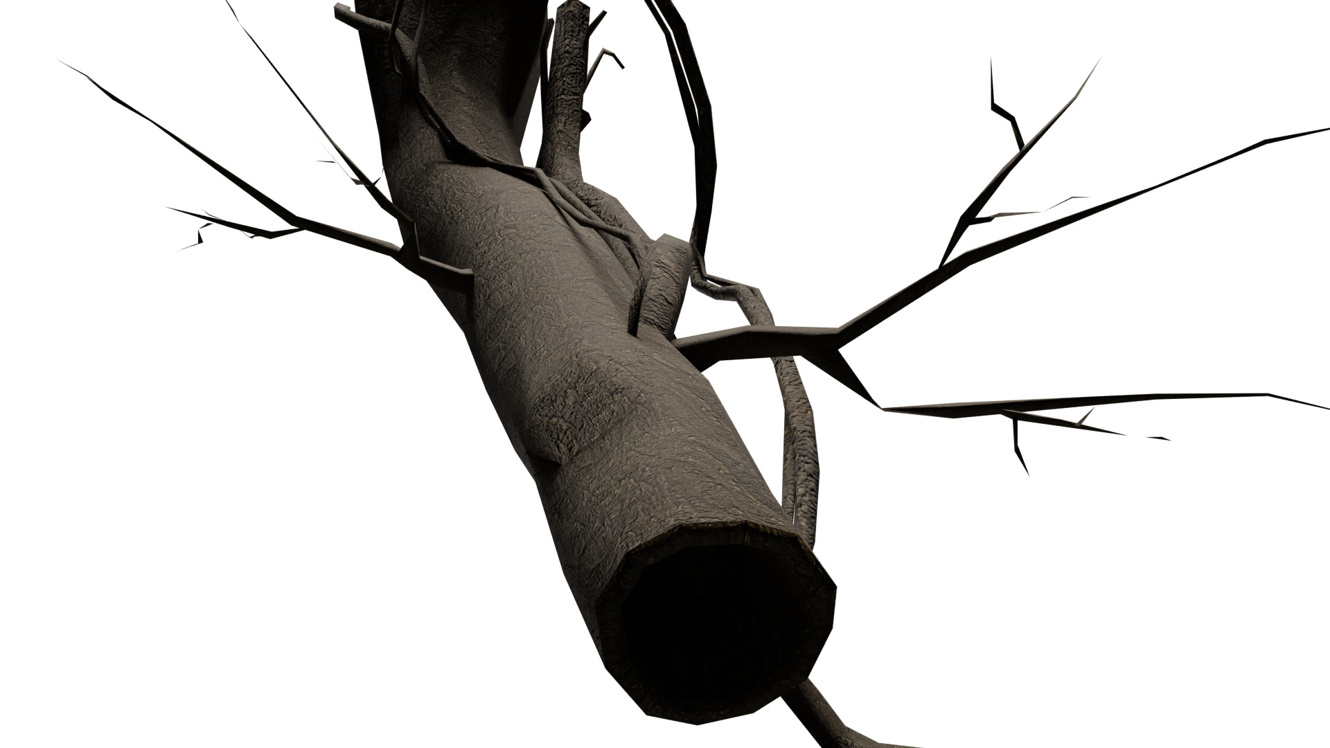 Dead Tree Low-poly 3D model_7