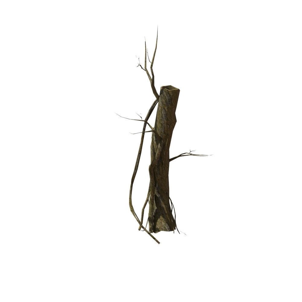 Dead Tree Low-poly 3D model_13