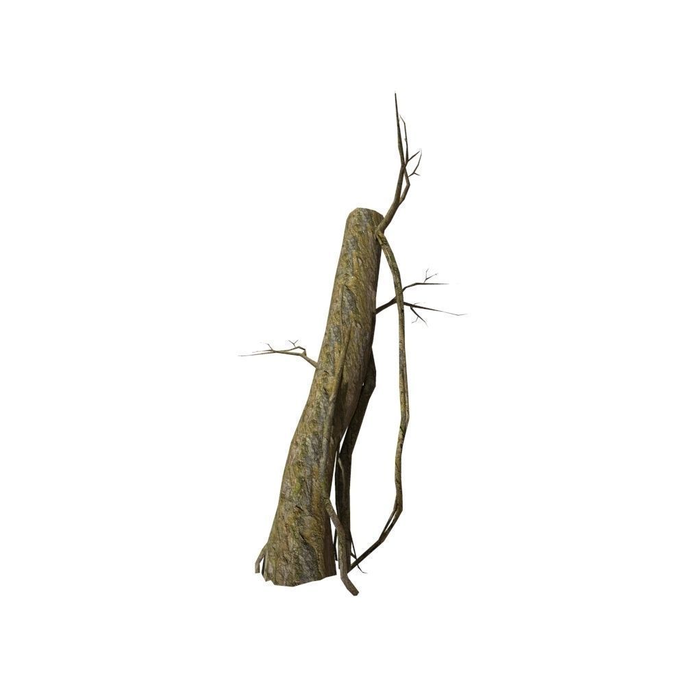 Dead Tree Low-poly 3D model_12