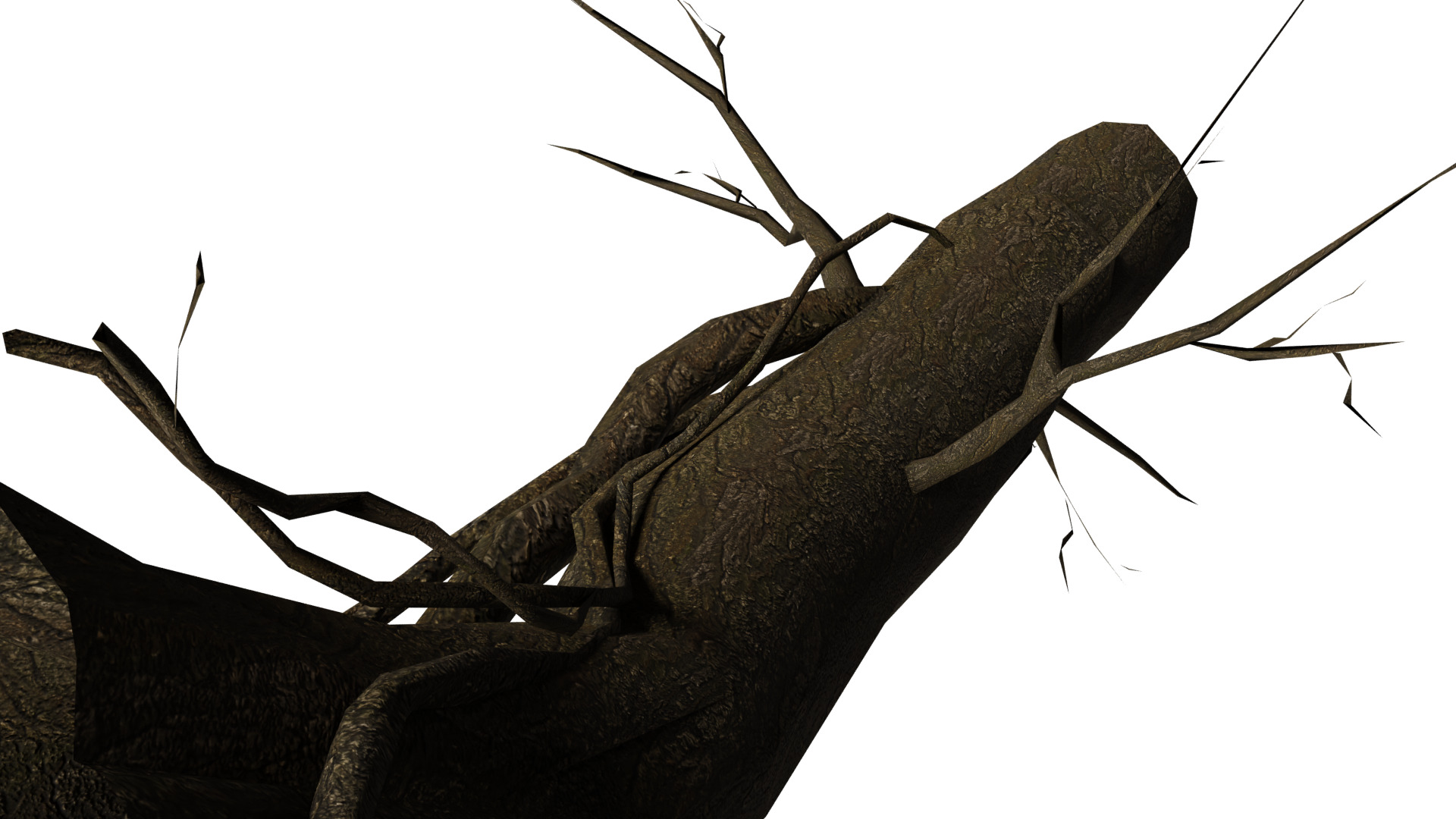 Dead Tree Low-poly 3D model_11