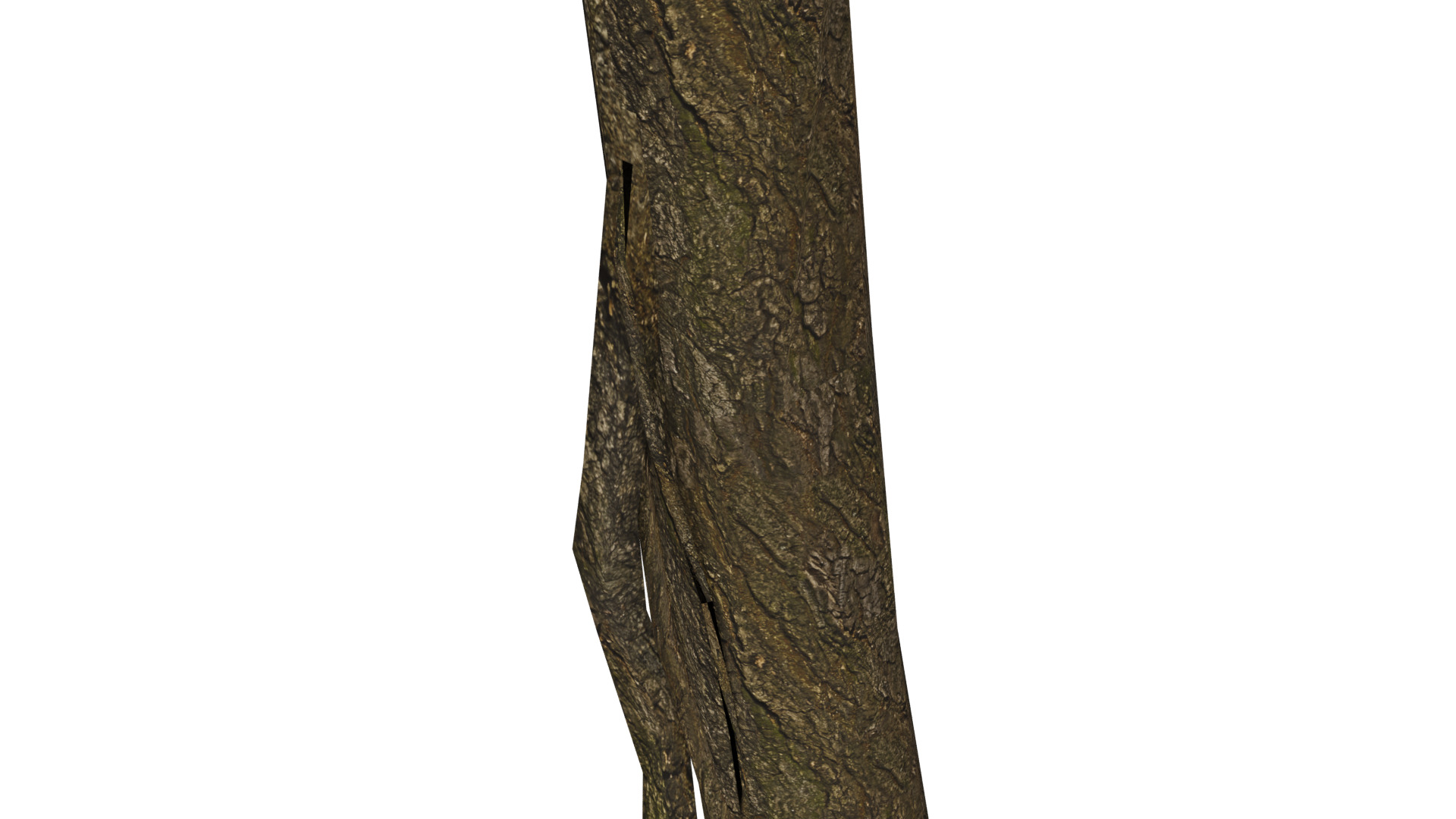 Dead Tree Low-poly 3D model_5