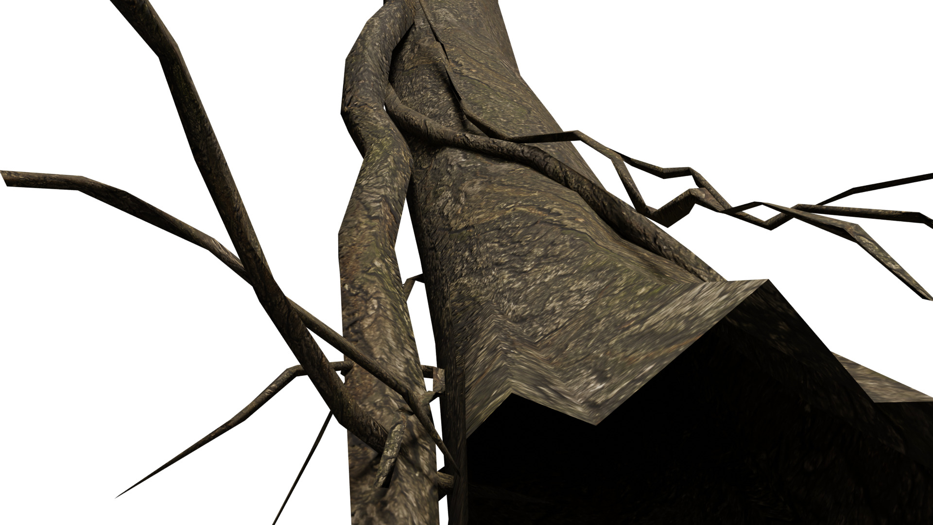 Dead Tree Low-poly 3D model_6