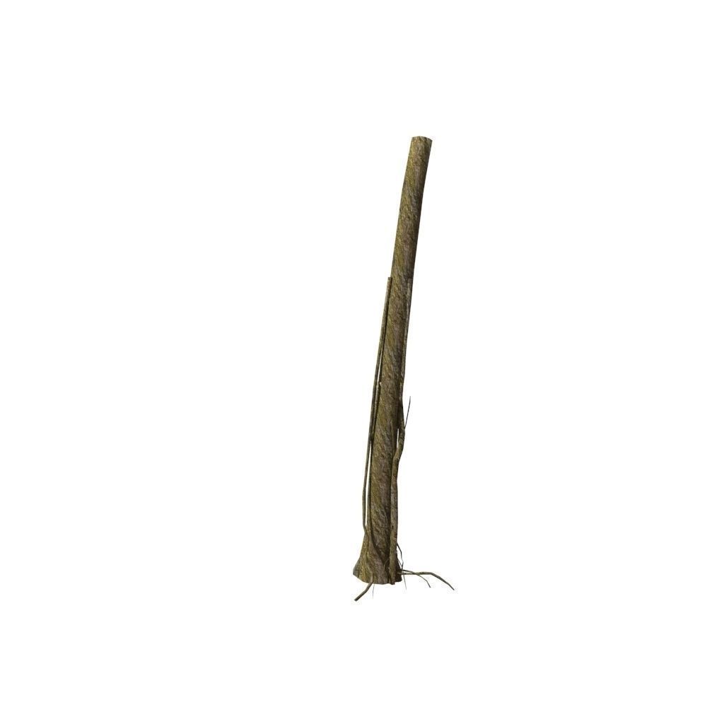 Dead Tree Low-poly 3D model_12