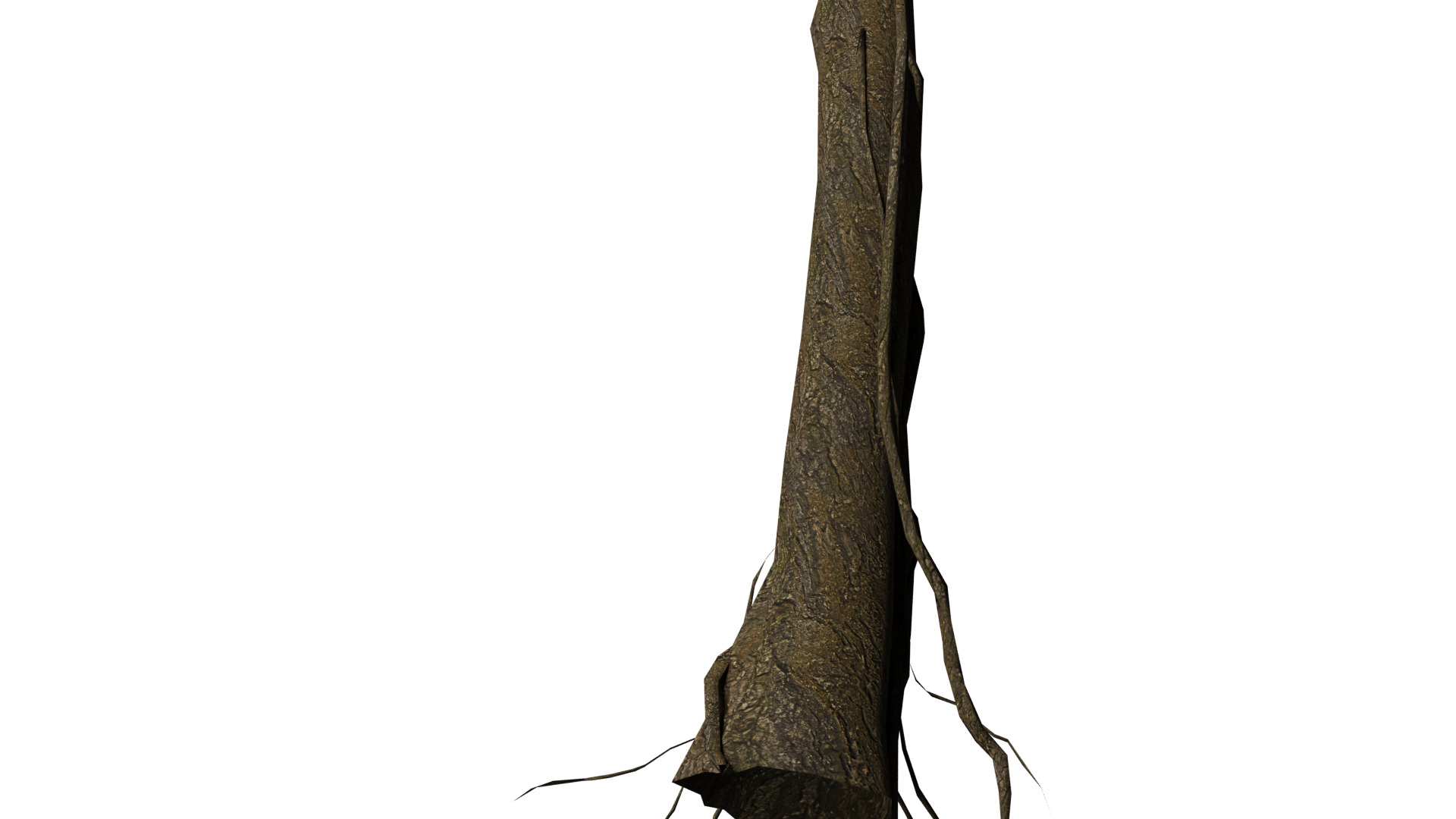 Dead Tree Low-poly 3D model_7