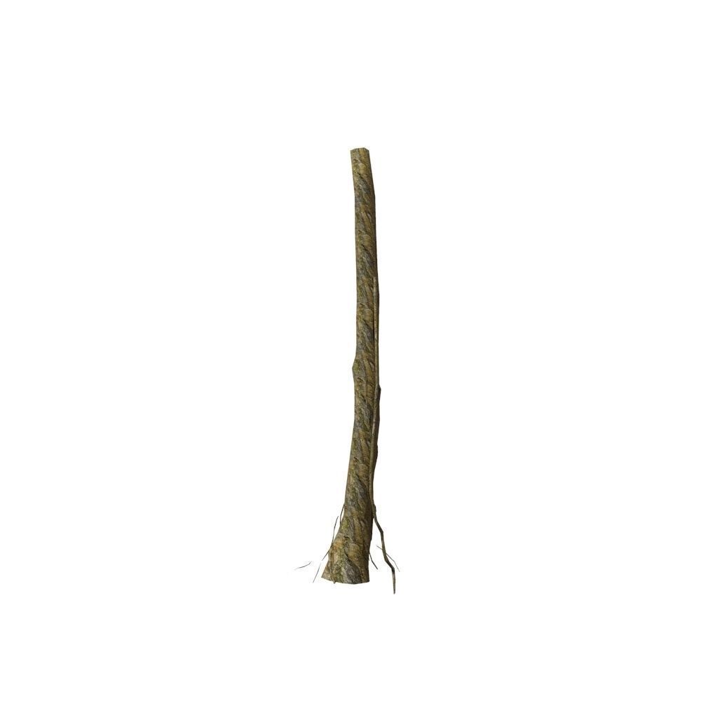 Dead Tree Low-poly 3D model_13