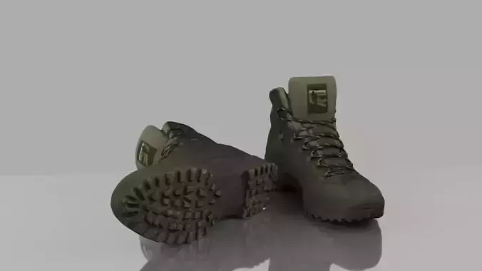 Boots pair of hiking Low-poly 3D model