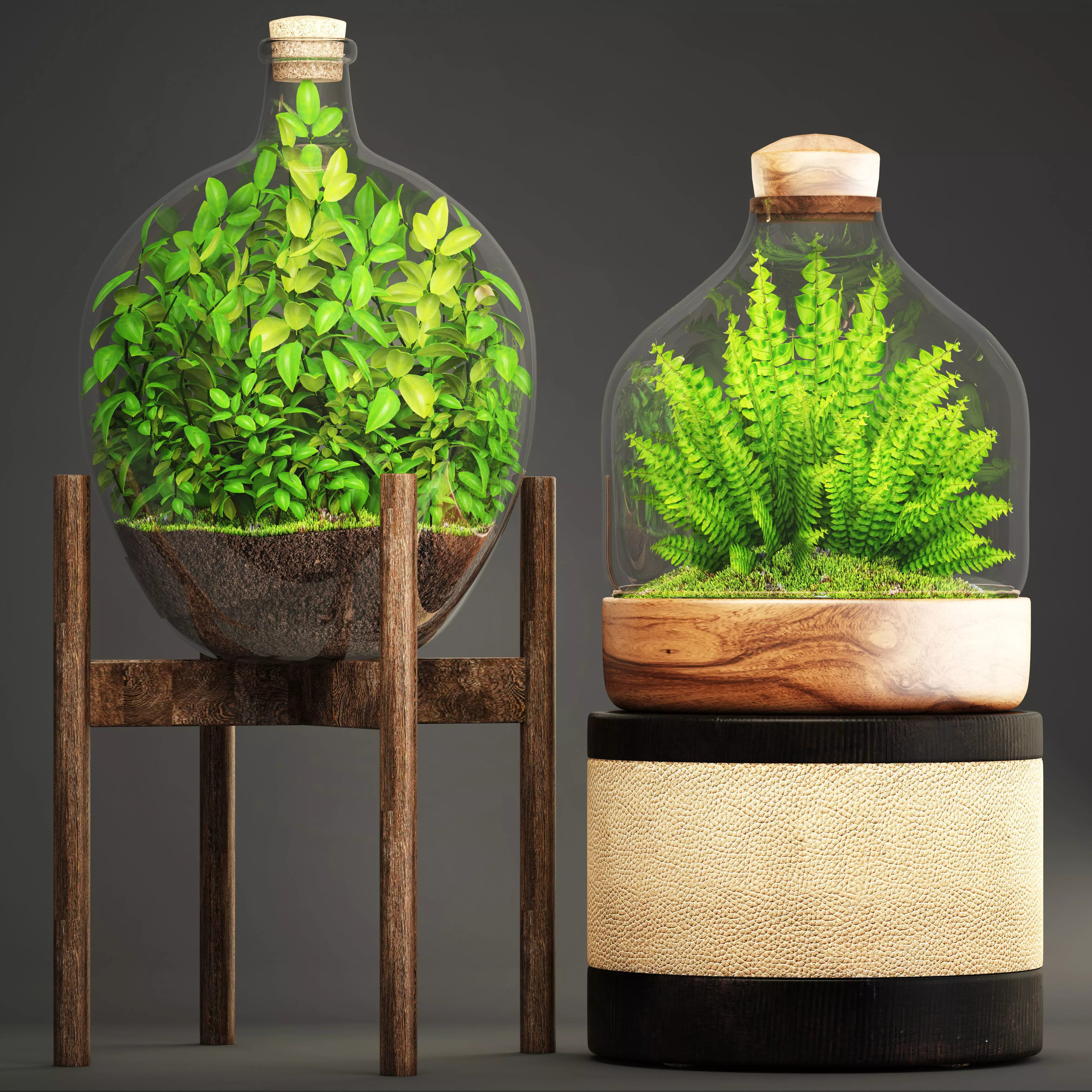 Florarium terrarium in glass bottle 3D model