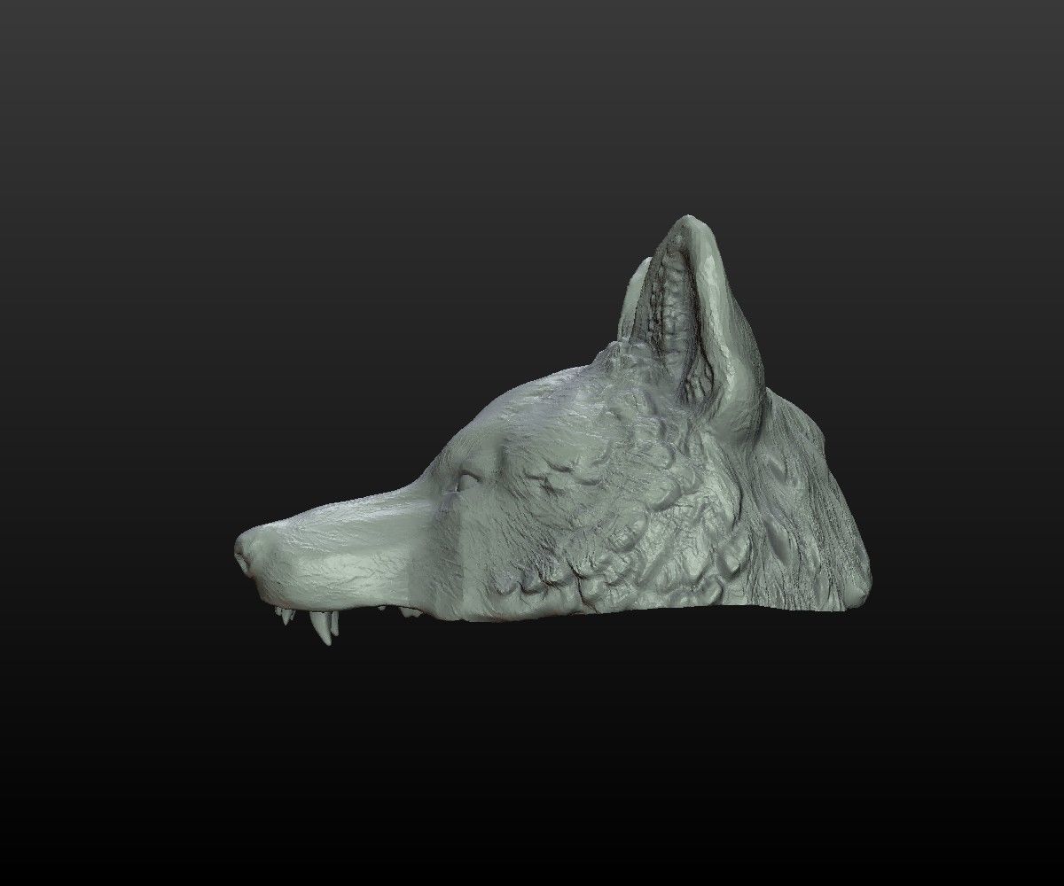 Wolf Cap 3D print model_6