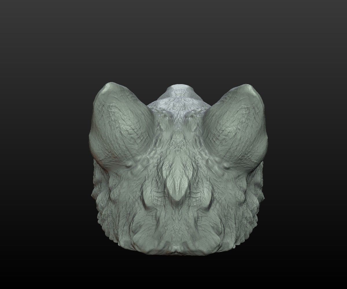 Wolf Cap 3D print model_4