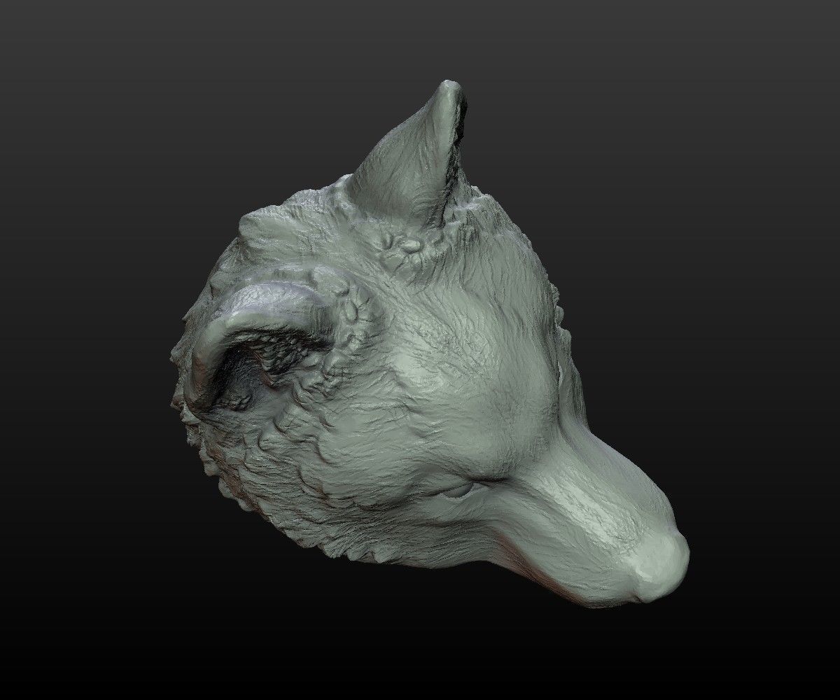 Wolf Cap 3D print model_2
