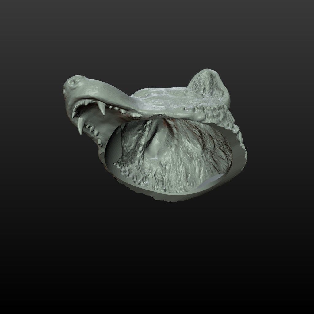 Wolf Cap 3D print model_8