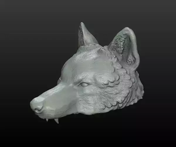 Wolf Cap 3D print model