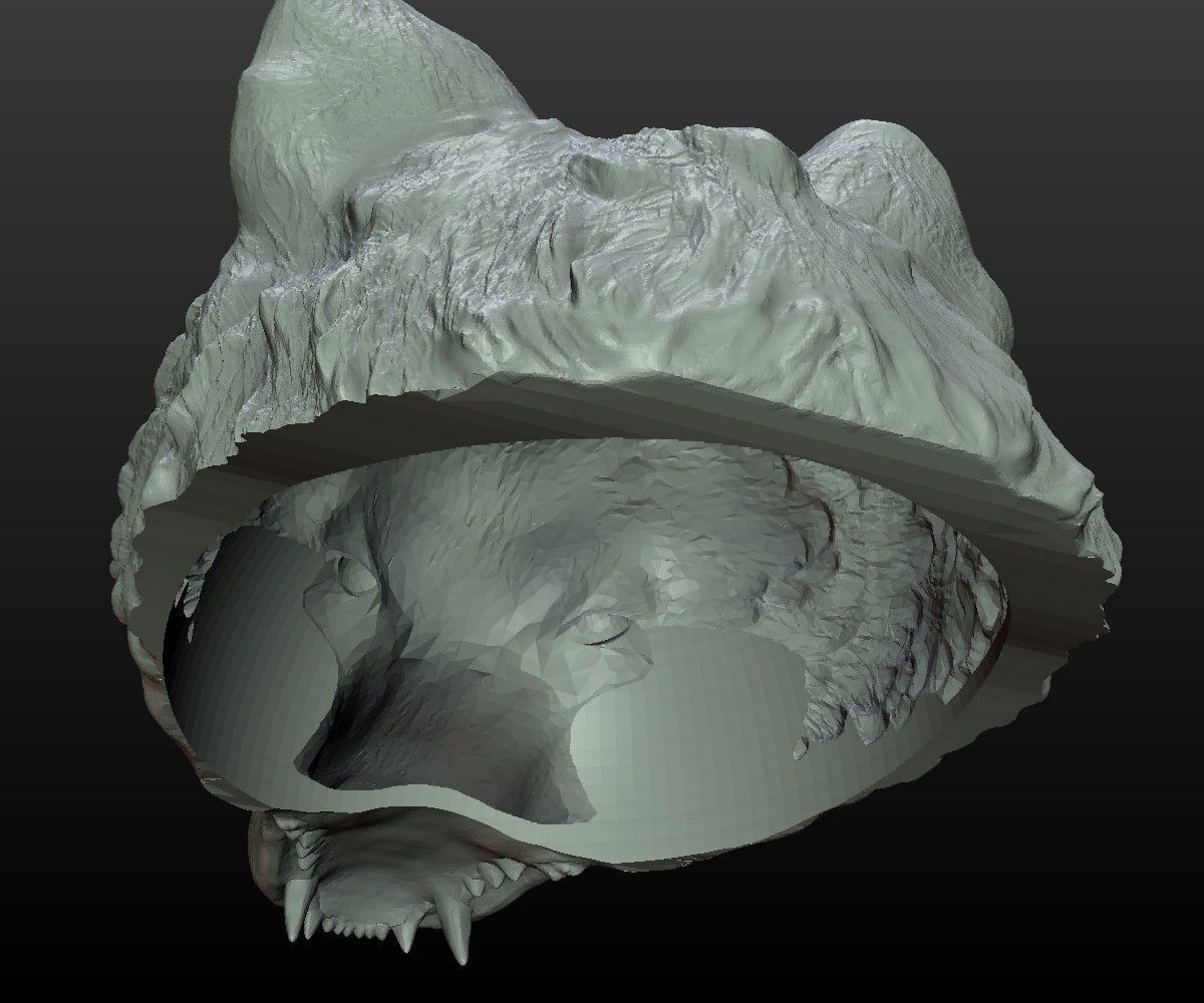 Wolf Cap 3D print model_1