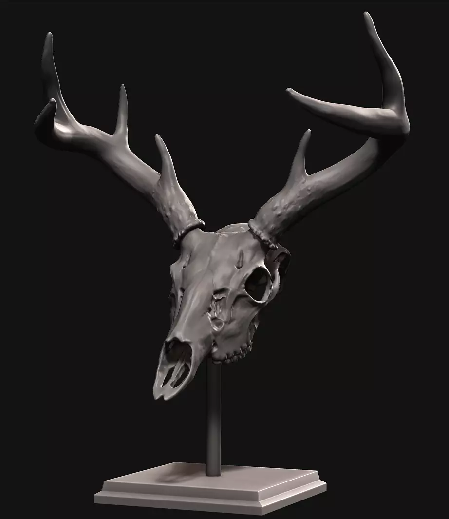 Deer skull with stand 3D print model_0