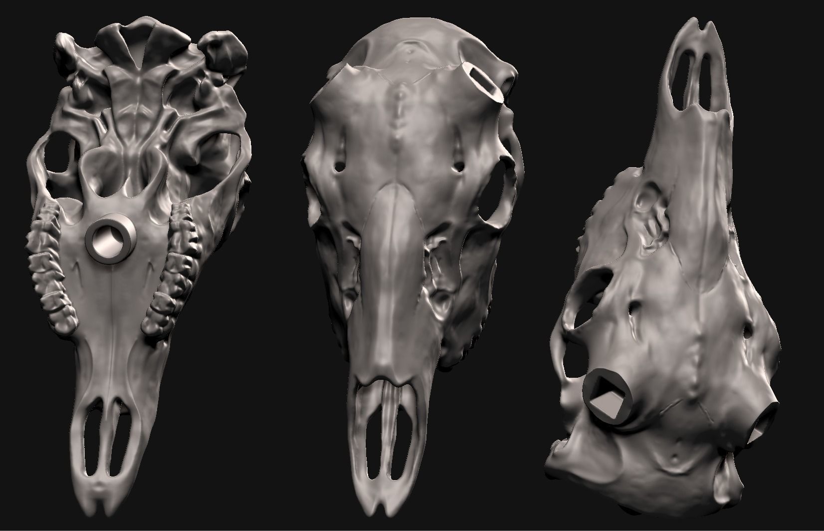 Deer skull with stand 3D print model_2