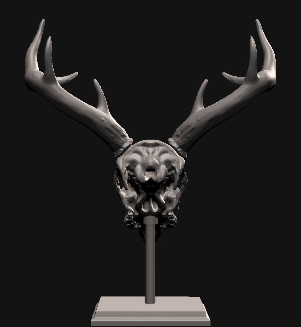 Deer skull with stand 3D print model_4