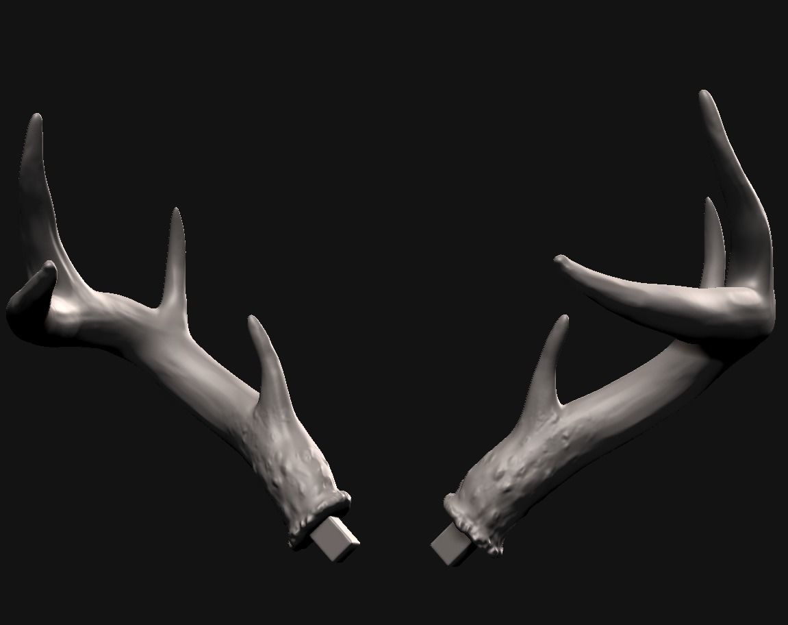 Deer skull with stand 3D print model_5