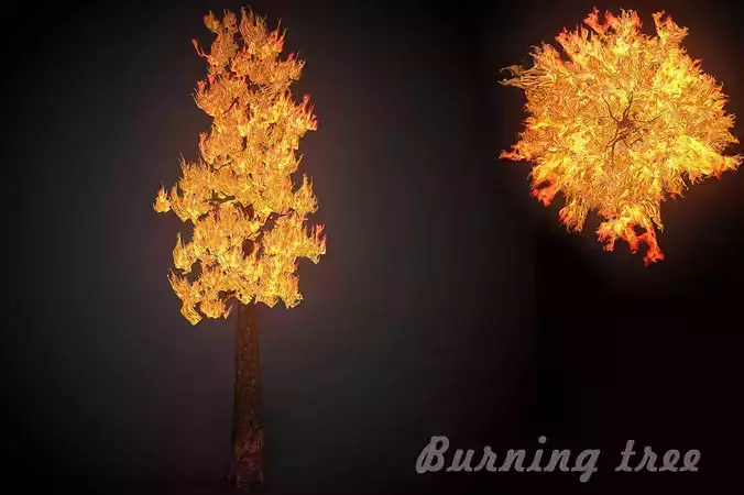 Burning tree big