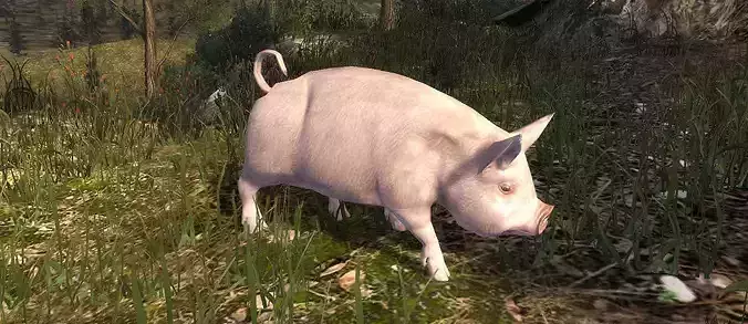 3DRT - Pig  Low-poly 3D model