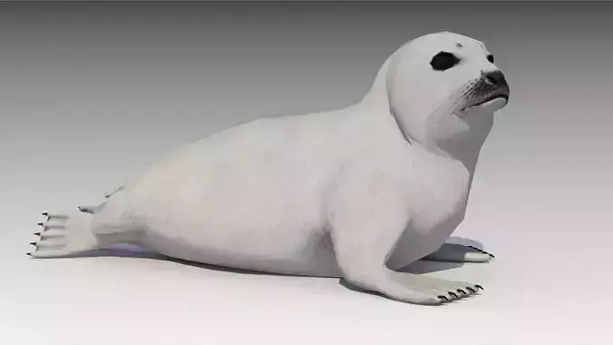 Seal cub Low-poly 3D model
