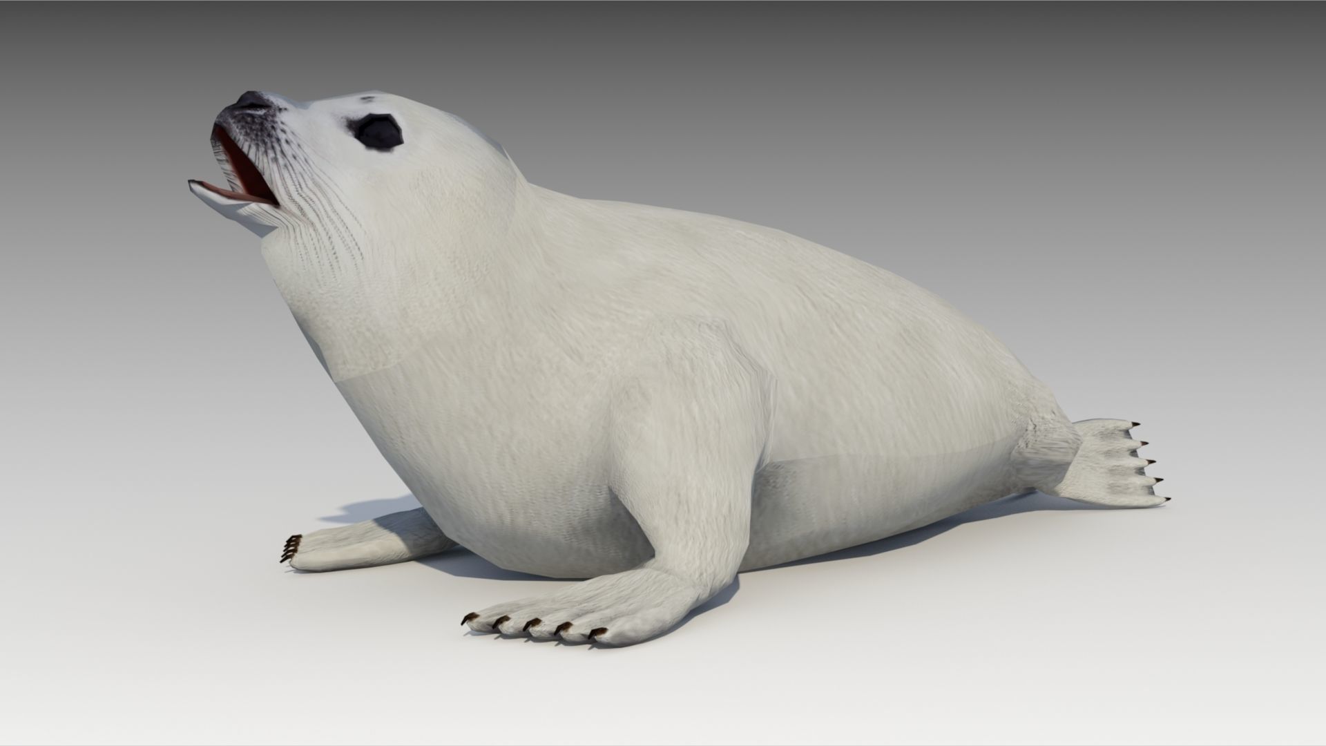 Seal cub Low-poly 3D model_5