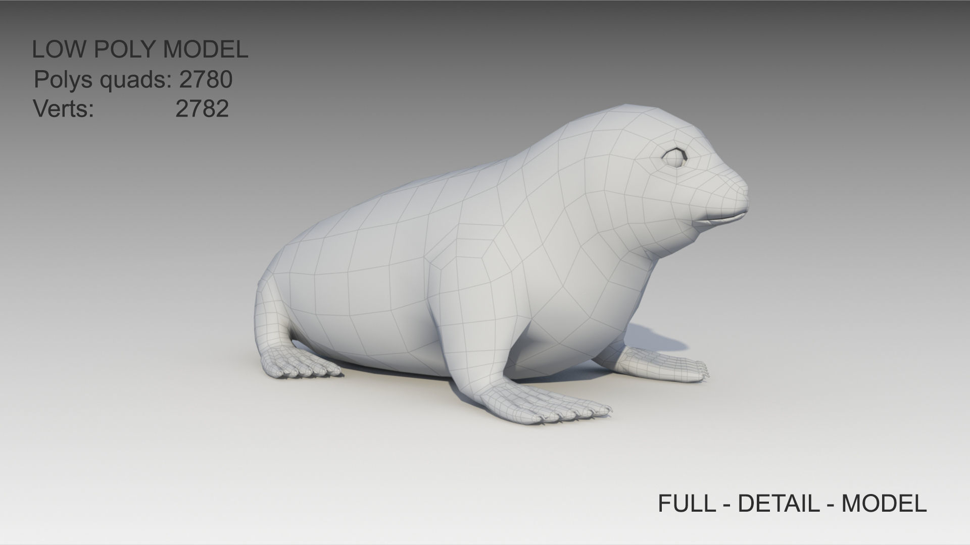Seal cub Low-poly 3D model_7