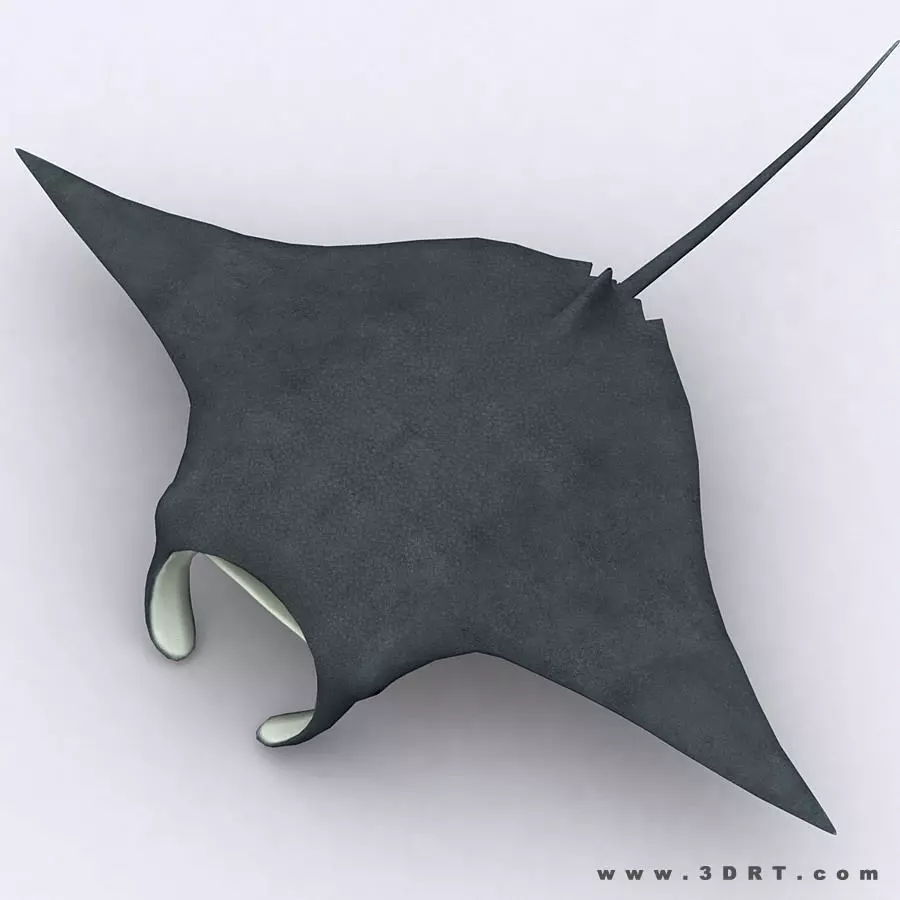 3DRT - Sealife - Manta ray Low-poly 3D model_0