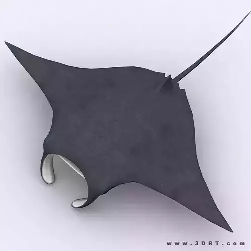 3DRT - Sealife - Manta ray Low-poly 3D model