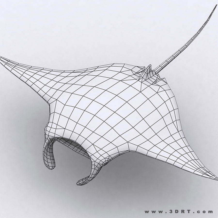 3DRT - Sealife - Manta ray Low-poly 3D model_5