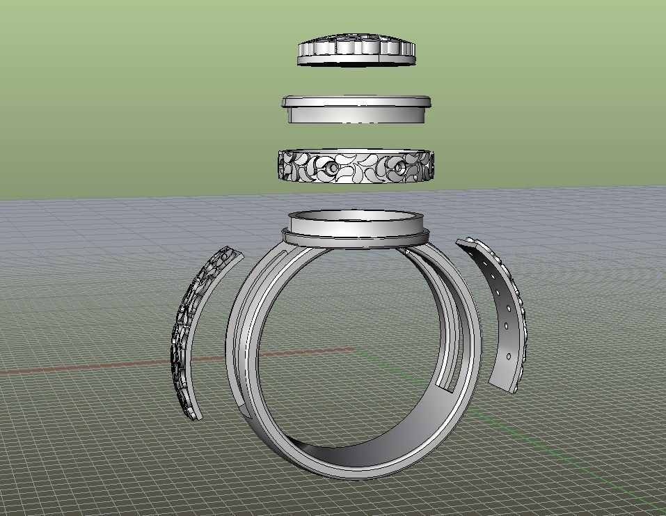 Ring the hidden fortune 3D print model_2
