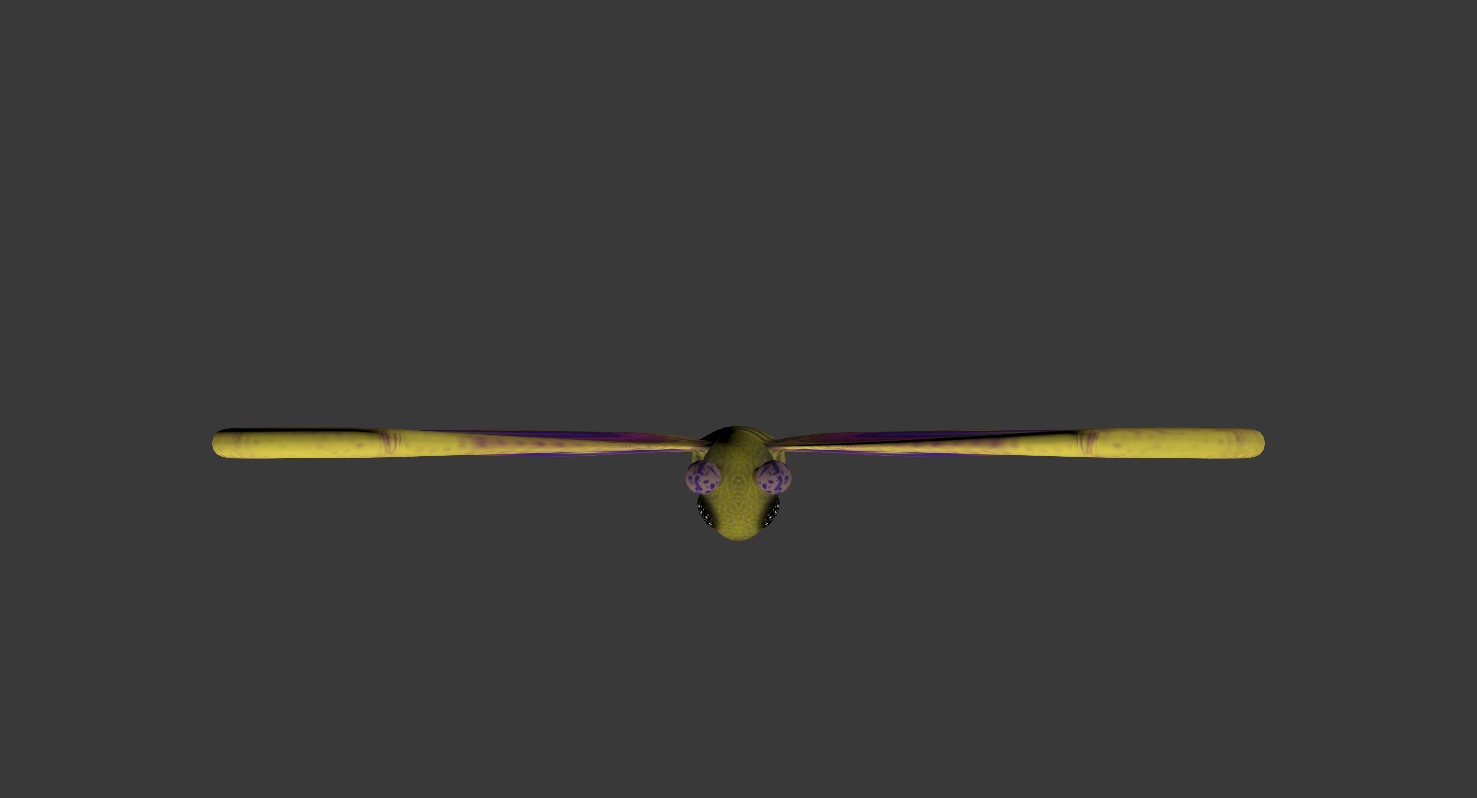 Cartoon butterfy  Low-poly 3D model_5