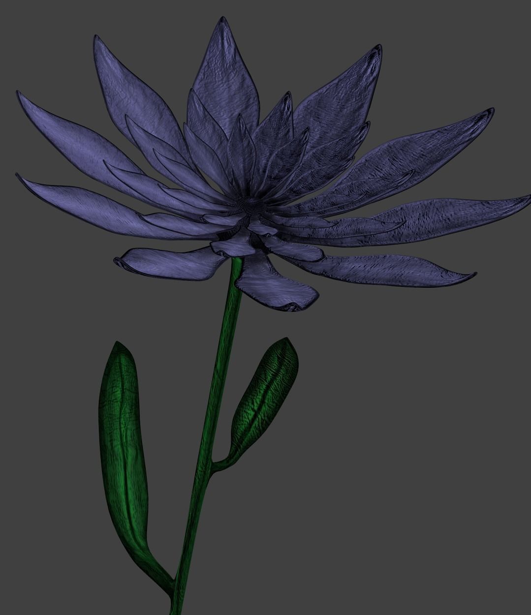 Purple flower 3D model_2