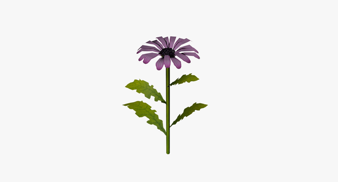 Daisy lowpoly Low-poly 3D model