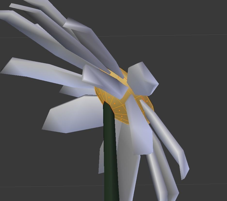 Chamomile lowpoly daisy Low-poly 3D model_10