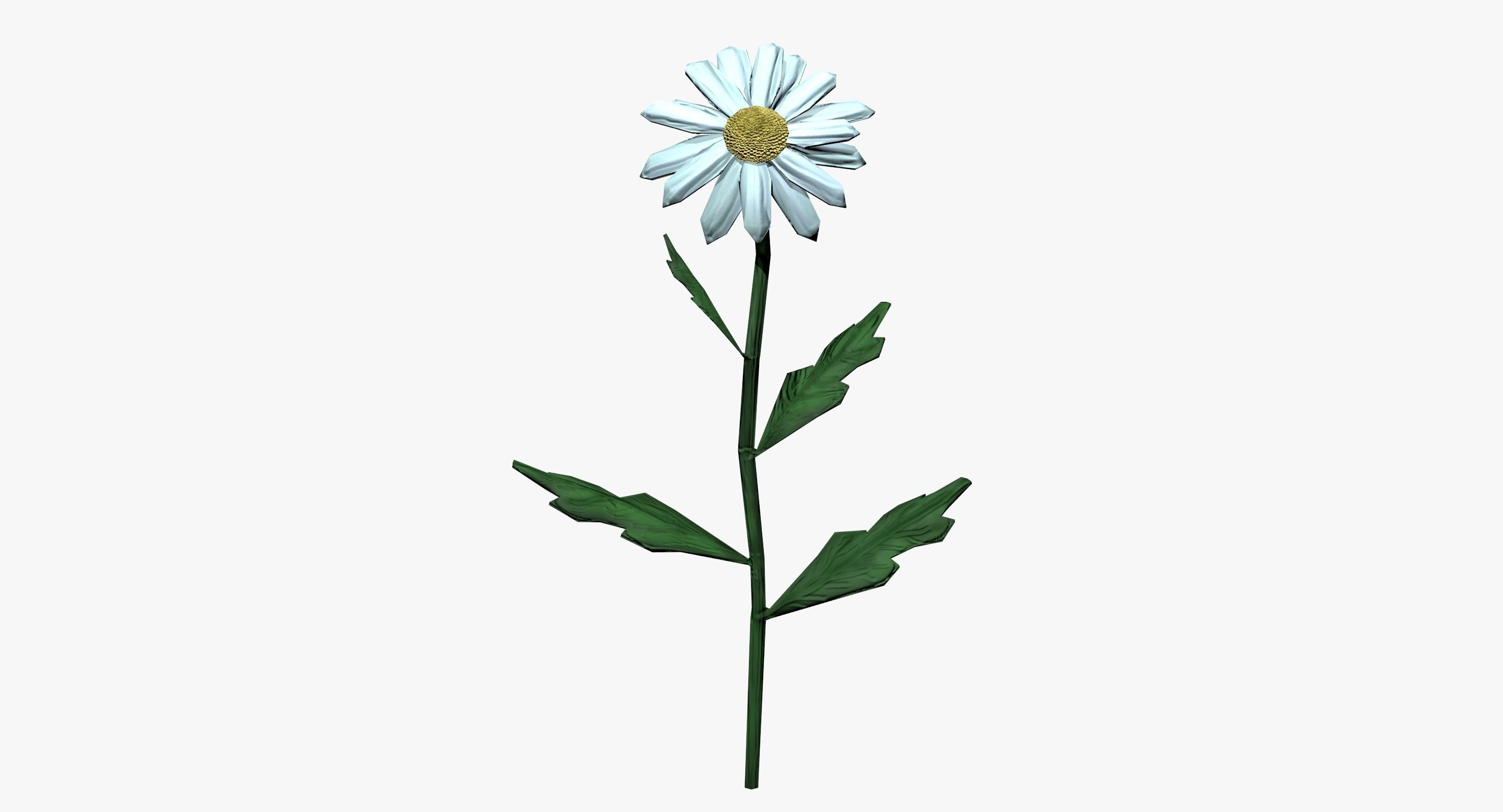Chamomile lowpoly daisy Low-poly 3D model_0