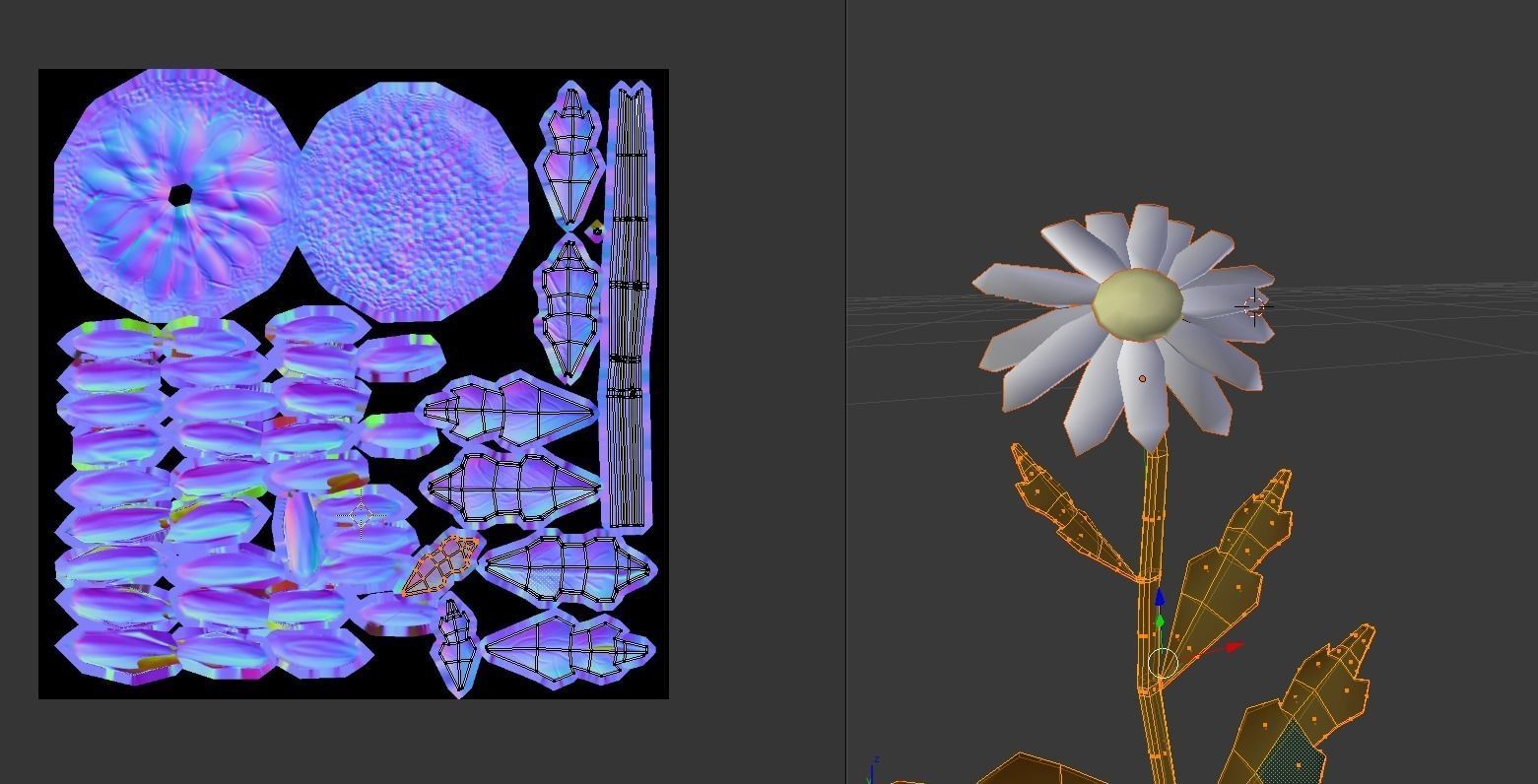 Chamomile lowpoly daisy Low-poly 3D model_14