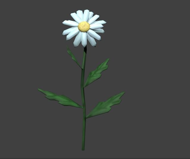 Chamomile lowpoly daisy Low-poly 3D model_1