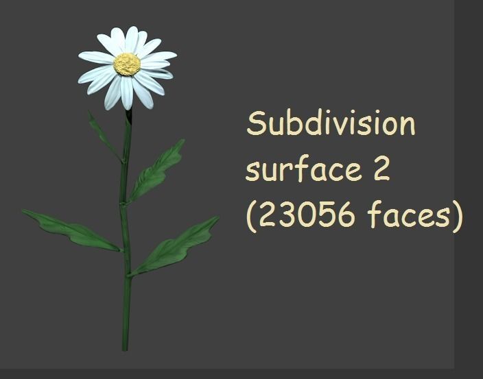 Chamomile lowpoly daisy Low-poly 3D model_4