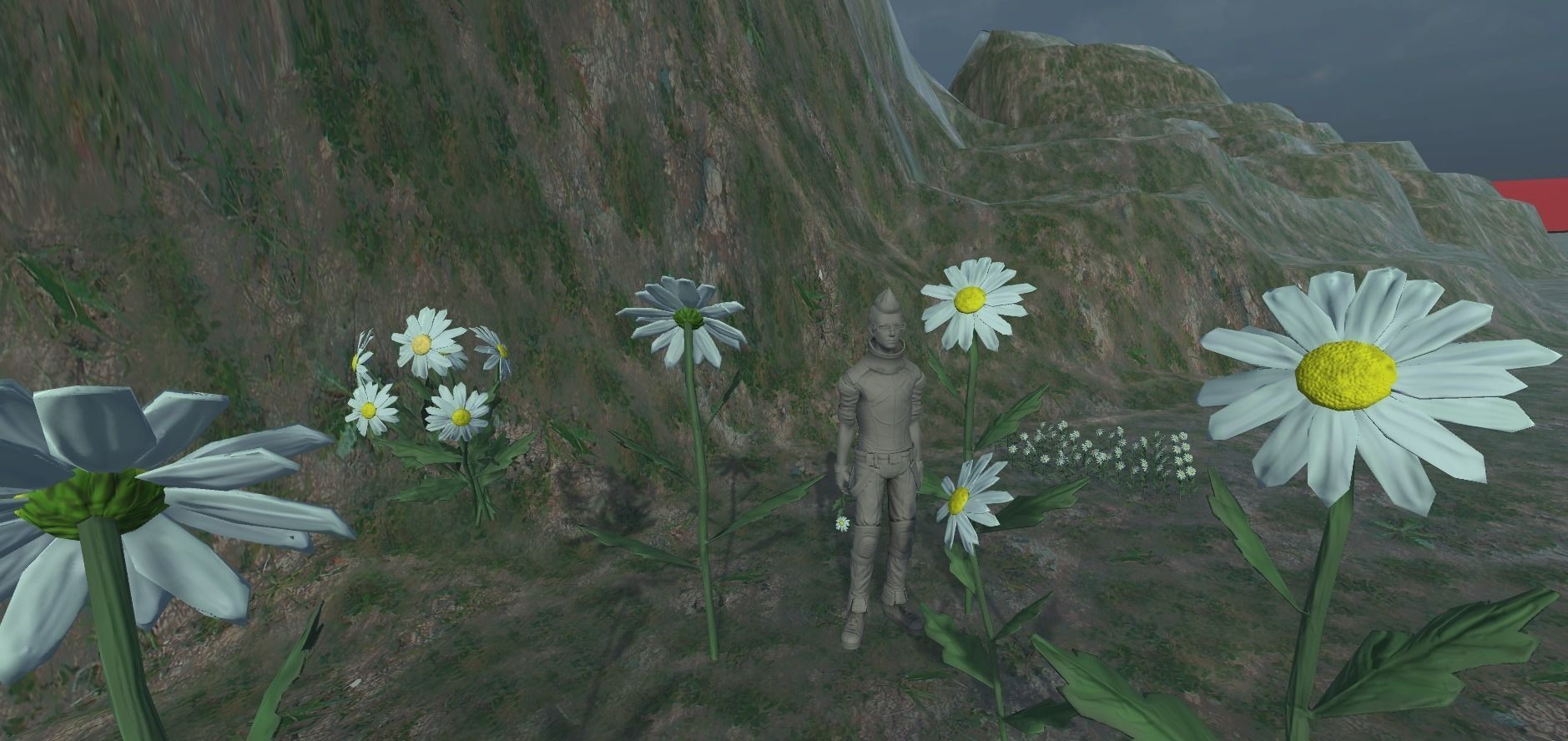 Chamomile lowpoly daisy Low-poly 3D model_15