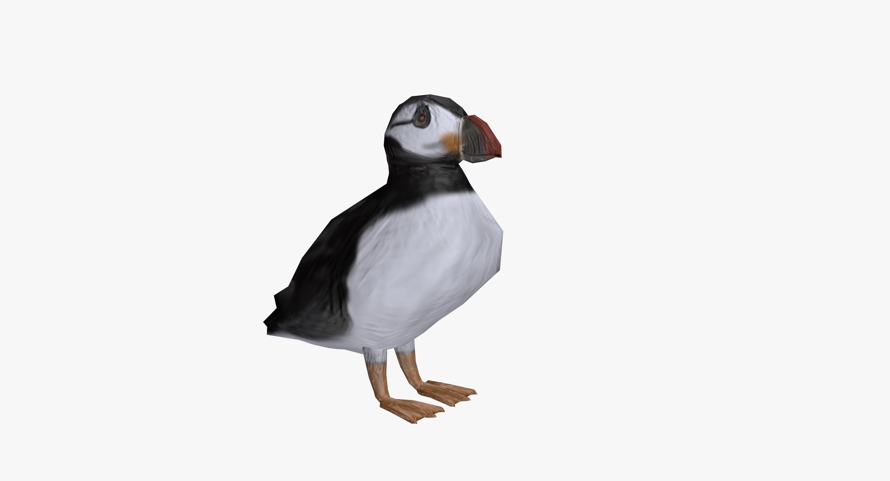 Puffin bird Low-poly 3D model_0