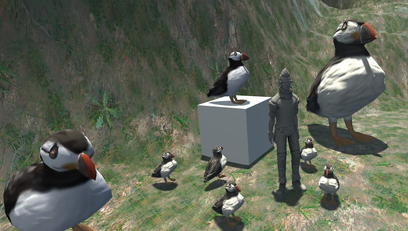 Puffin bird Low-poly 3D model_12