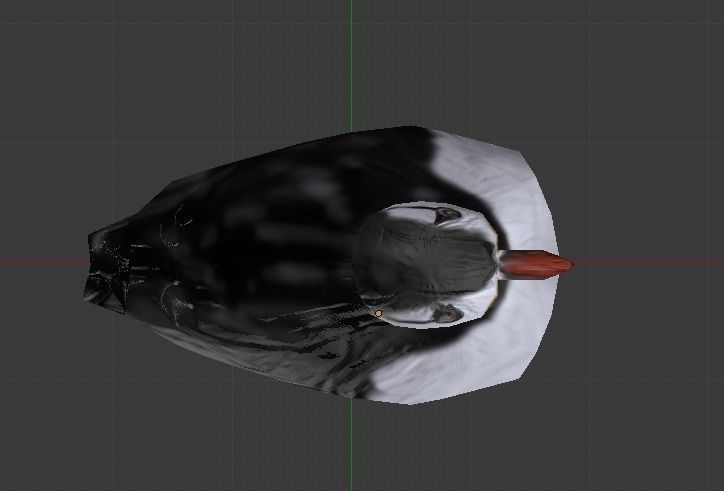 Puffin bird Low-poly 3D model_3