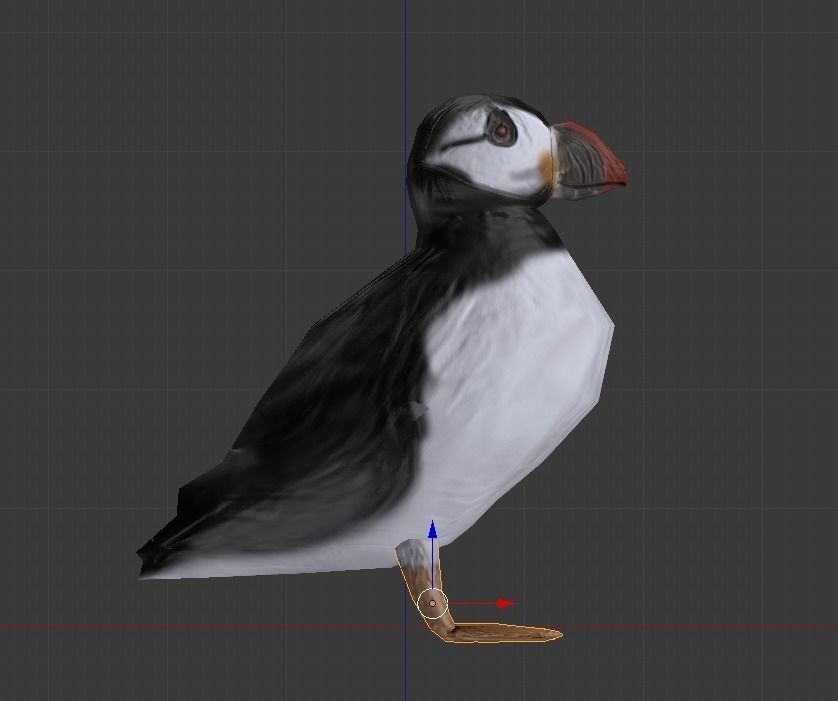 Puffin bird Low-poly 3D model_2